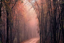 雷速体育：解约金5000万镑！马卡：皇马视19岁怀森为中后卫引援首要目标.