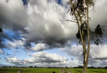 德甲：柏林联盟以0比1 败给基尔.