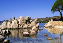 雷速体育：巴顿：进球挺漂亮，可惜越位了；争取下场对国安能取得进球.